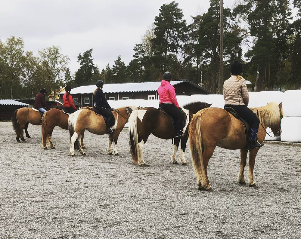 Barn som rider hästar på ridskola