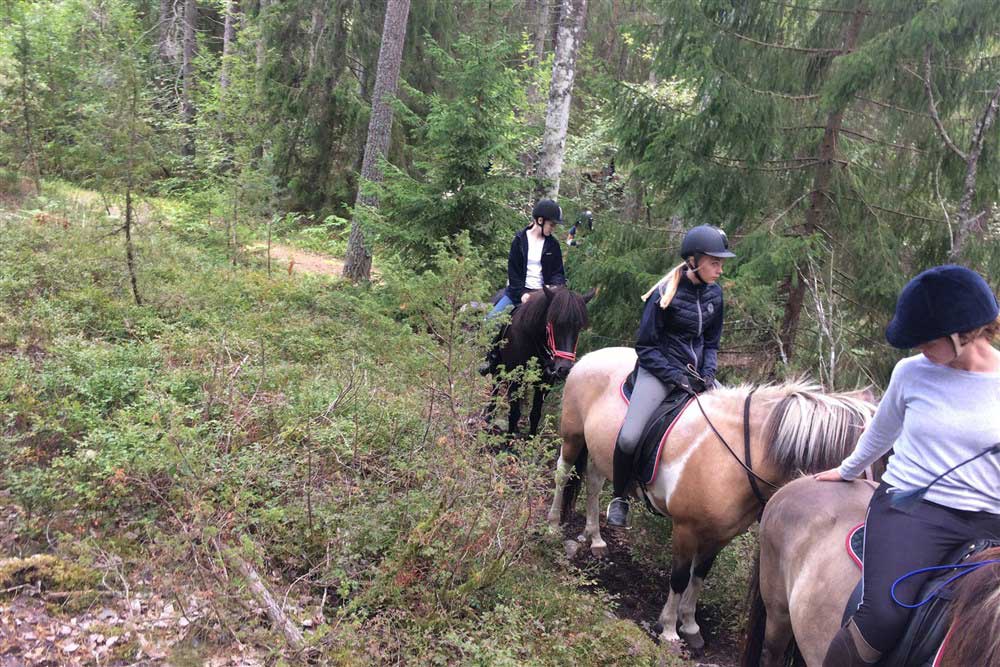 barn som rider hästarna